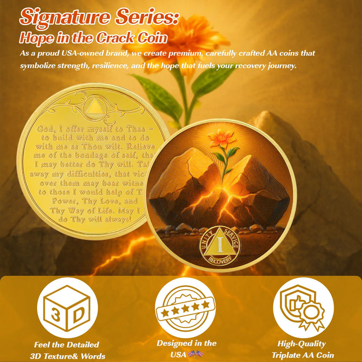 Personalized Hope in The Crack Sobriety Coin