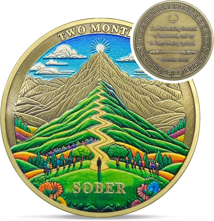 1-12 Months Recovery Addiction Celebrate Living Clean Sobriety Coin