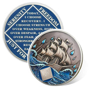 1-15 Year Addiction Recovery Braving The Storm Sobriety Coin