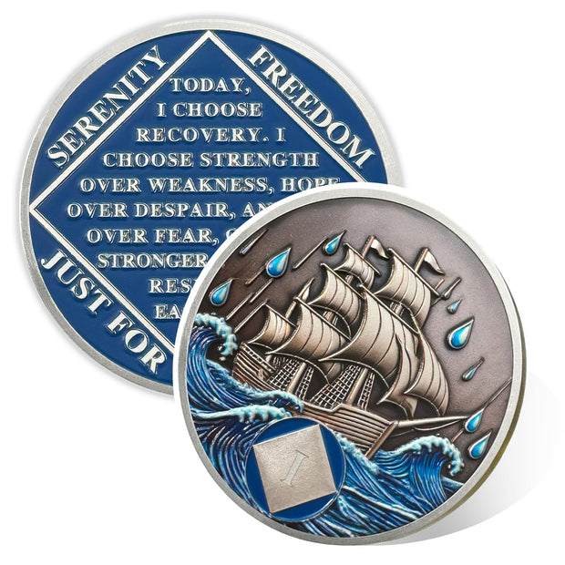 1-15 Year Addiction Recovery Braving The Storm Sobriety Coin