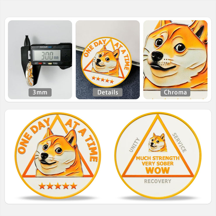 Funny Dog Meme & Triangle Symbol Doge Sobriety Coin