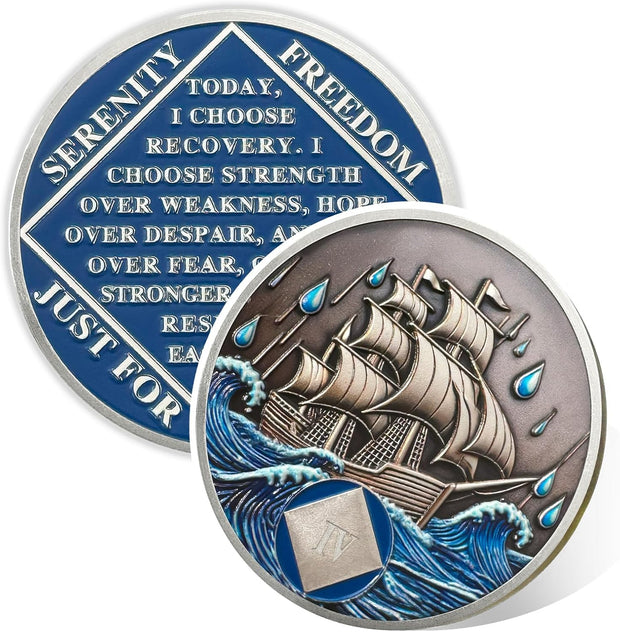 1-15 Year Addiction Recovery Braving The Storm Sobriety Coin