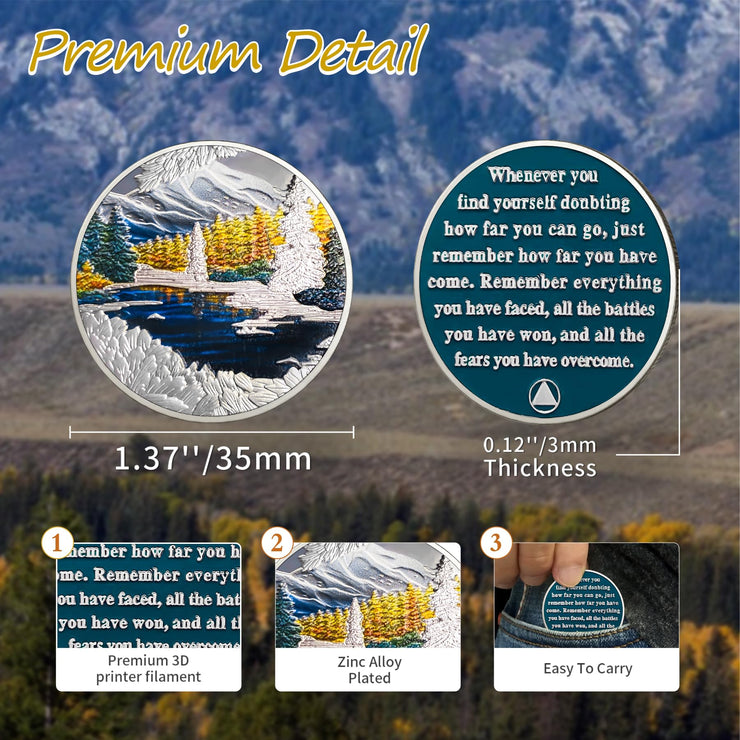 Original Winter Sobriety Coin