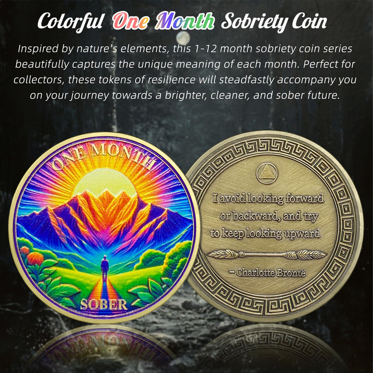 1-12 Months Recovery Addiction Celebrate Living Clean Sobriety Coin