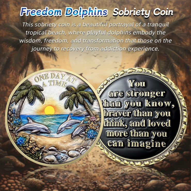 Recovery Addiction Sunset Beach Freedom Dolphins Sobriety Coin