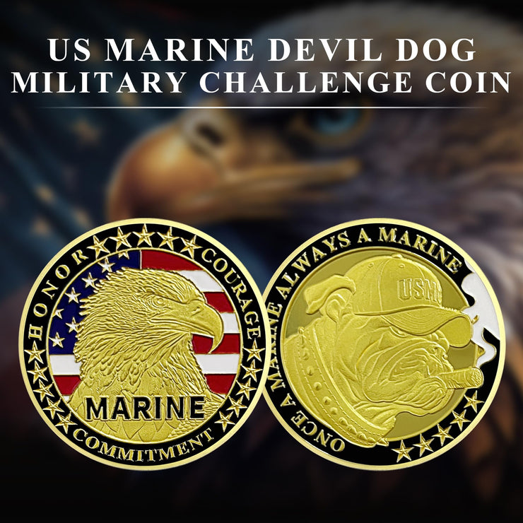 US Marine Devil Dog Challenge Coin Military Coins Gift for Marines