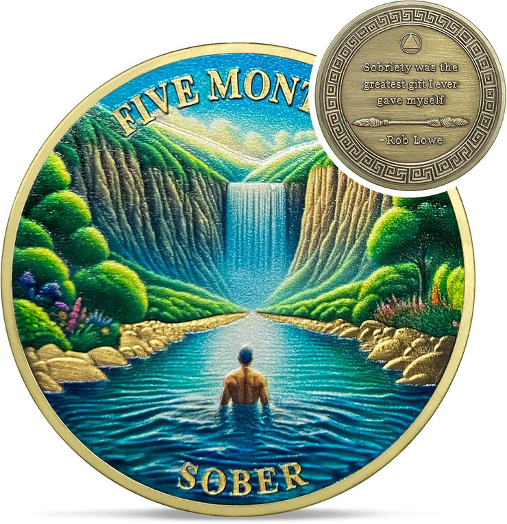 1-12 Months Recovery Addiction Celebrate Living Clean Sobriety Coin
