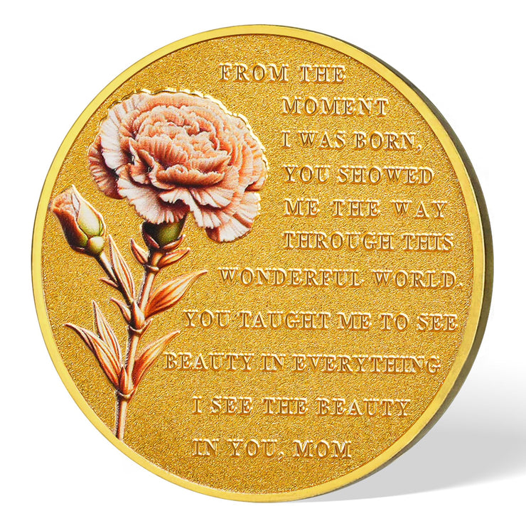 Virgin Mary and Holy Child Jesus Christian Coin