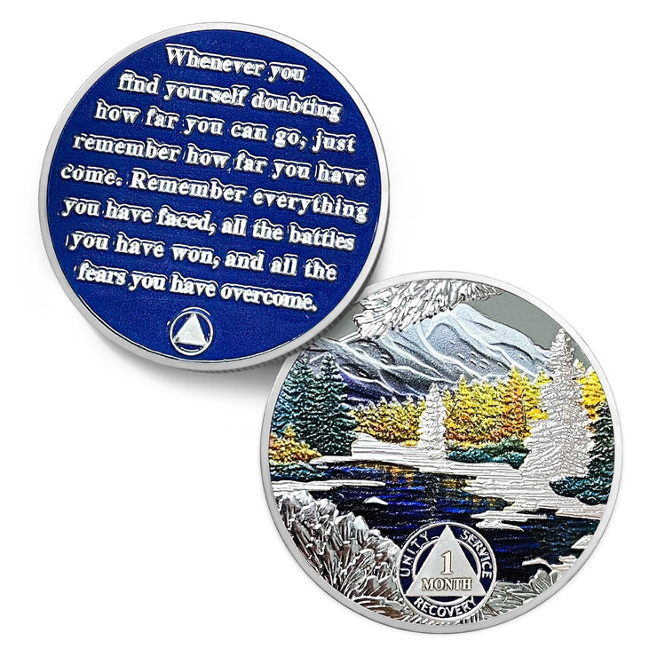 1-12 Month Recovery Seasonal Landscapes Sobriety Coins