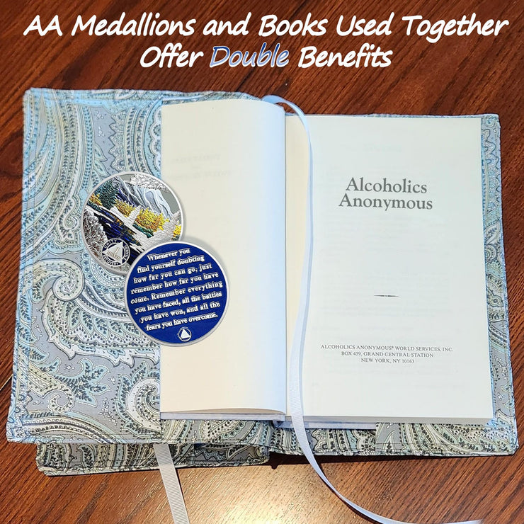 1-12 Month Recovery Seasonal Landscapes Sobriety Coins