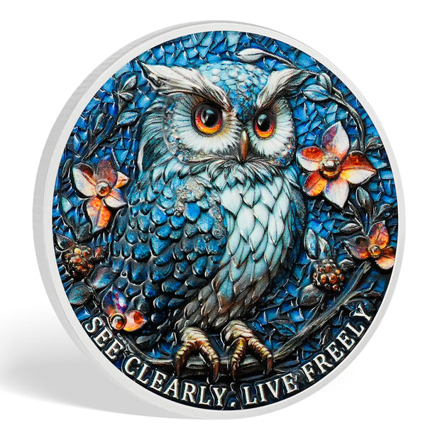 Owl & Triangular Symbol See Clearly Sobriety Coin