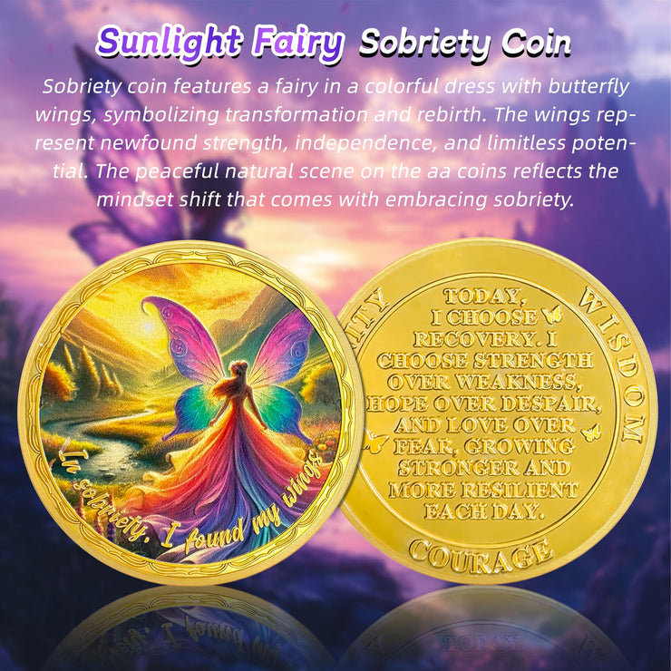 Affirmation Sunlight Fairy Mountains Recovery Addiction Sobriety Coin