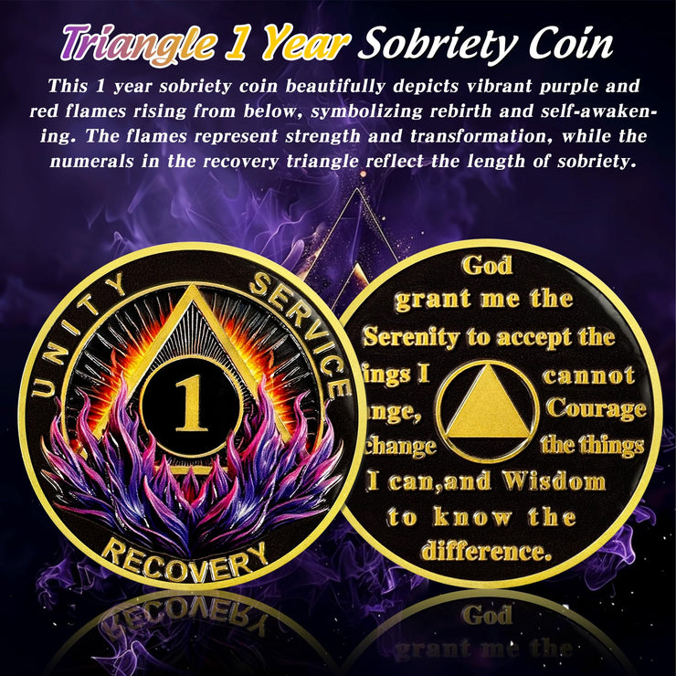 Delicate Triangle Sobriety Coin