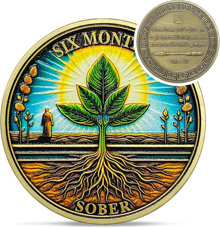 1-12 Months Recovery Addiction Celebrate Living Clean Sobriety Coin