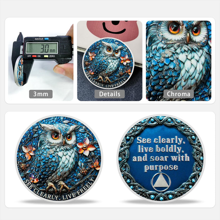 Owl & Triangular Symbol See Clearly Sobriety Coin