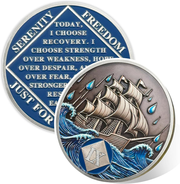 1-15 Year Addiction Recovery Braving The Storm Sobriety Coin