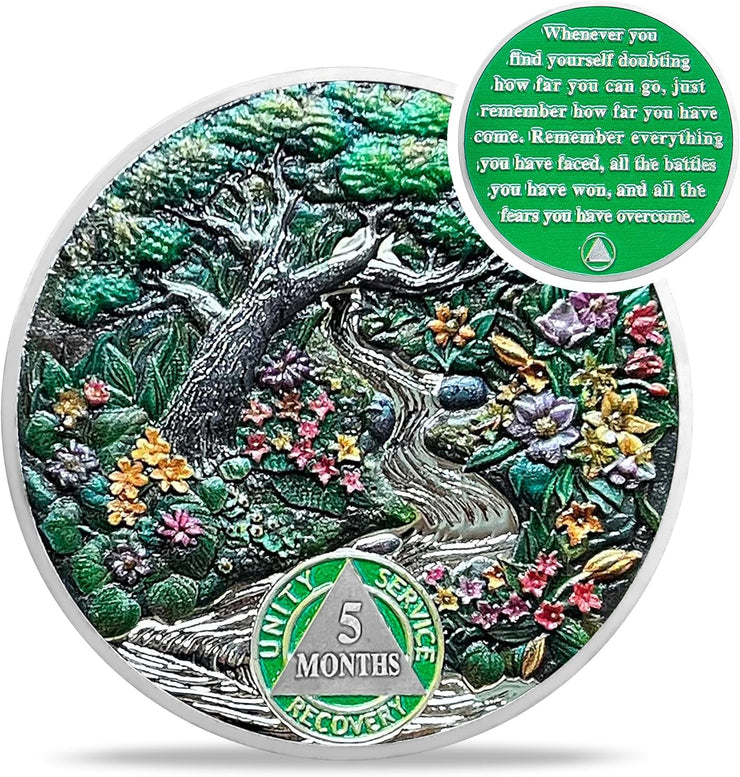 1-12 Month Recovery Seasonal Landscapes Sobriety Coins