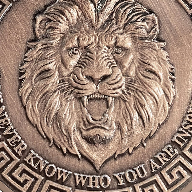 Symbol of Courage and Strength Lion Sword and Shield Challenge Coin