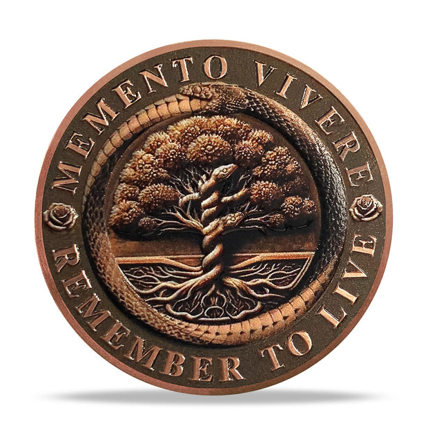 Daily Stoic Reminder Memento Mori Coin Skull Challenge Coins