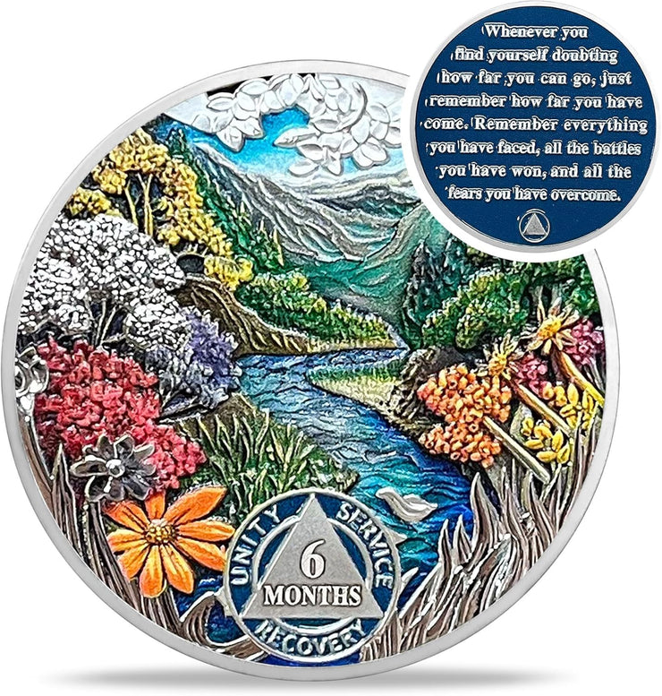 1-12 Month Recovery Seasonal Landscapes Sobriety Coins