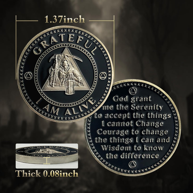 AA Medallion Recovery Grateful I Am Alive Sobriety Coin