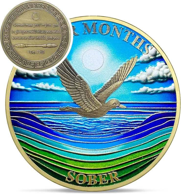 1-12 Months Recovery Addiction Celebrate Living Clean Sobriety Coin