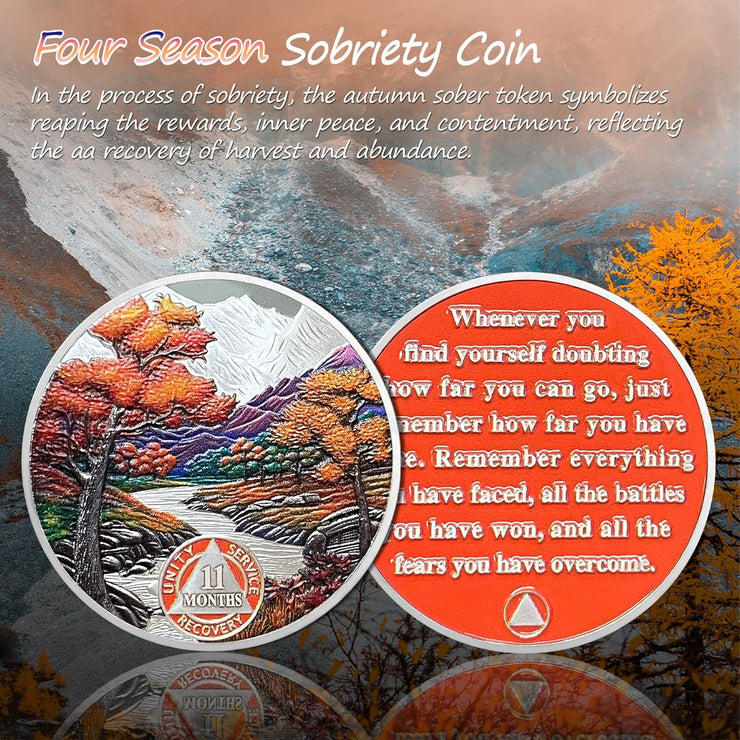 1-12 Month Recovery Seasonal Landscapes Sobriety Coins