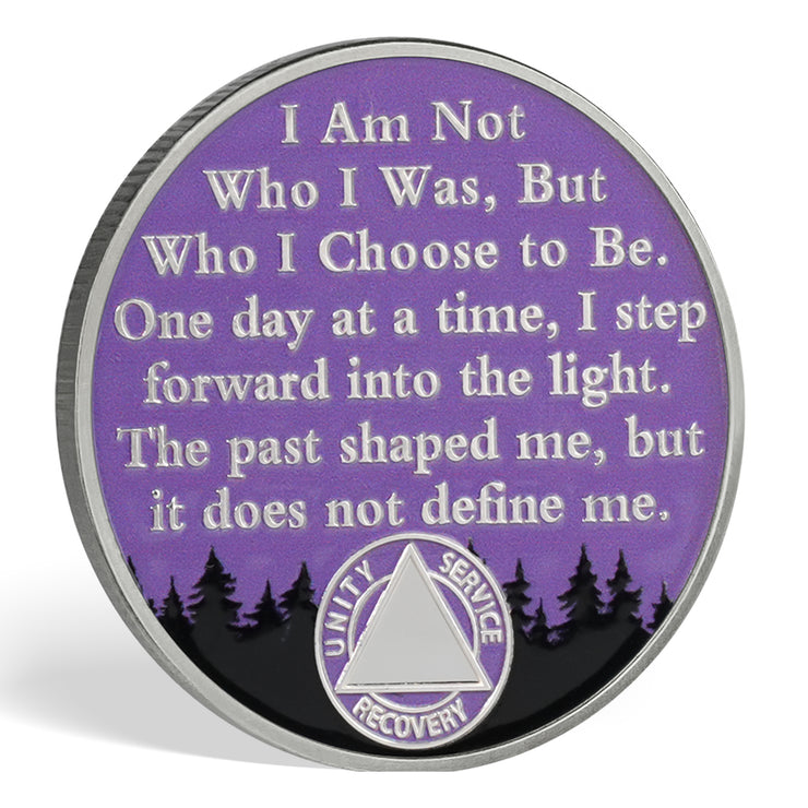 Personalized One Day at a Time Sobriety Coin AA Chips Recovery Gifts Sober Affirmation Token