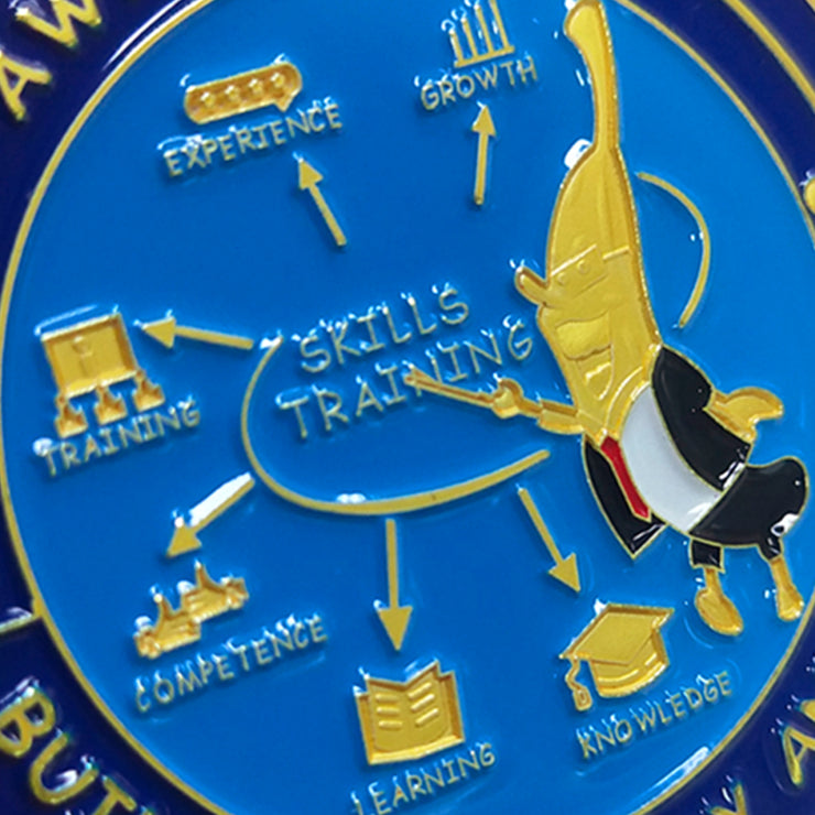 Encouragement Challenge Coin-Employee Appreciation Gifts Inspirational Thank You Coin for Students and Cowokers-Skills Teacher