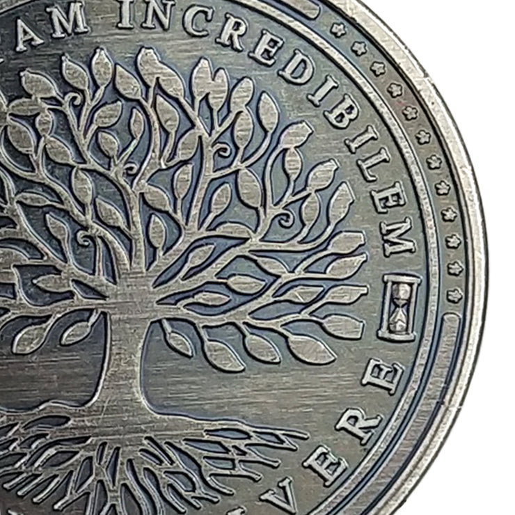 Tempus Fugit Memento Mori Fac Vitam Incredibilem Memento Vivere Challenge Coin