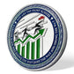 Encouragement Challenge Coin-Employee Appreciation Gifts Inspirational Thank You Coin for Students and Cowokers-Green Arrow